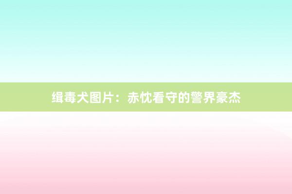 缉毒犬图片：赤忱看守的警界豪杰