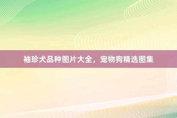 袖珍犬品种图片大全，宠物狗精选图集